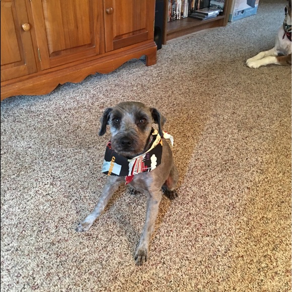 Meet your Posher, Tess - Picture 1 of 1